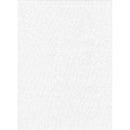Promaster 10x12 Poly Cotton White Backdrop