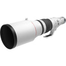 Canon RF 600mm f/4.0L IS USM Lens