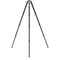 Benro Mammoth TMTH44C Carbon Fiber Tripod