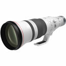 Canon RF 600mm f/4.0L IS USM Lens