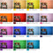 Godox V-11C Color Filter Set