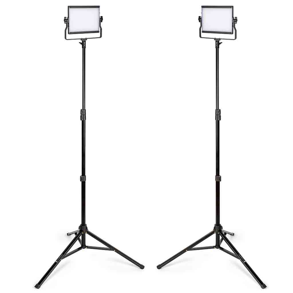 Promaster B79B 2 Light Transport Kit