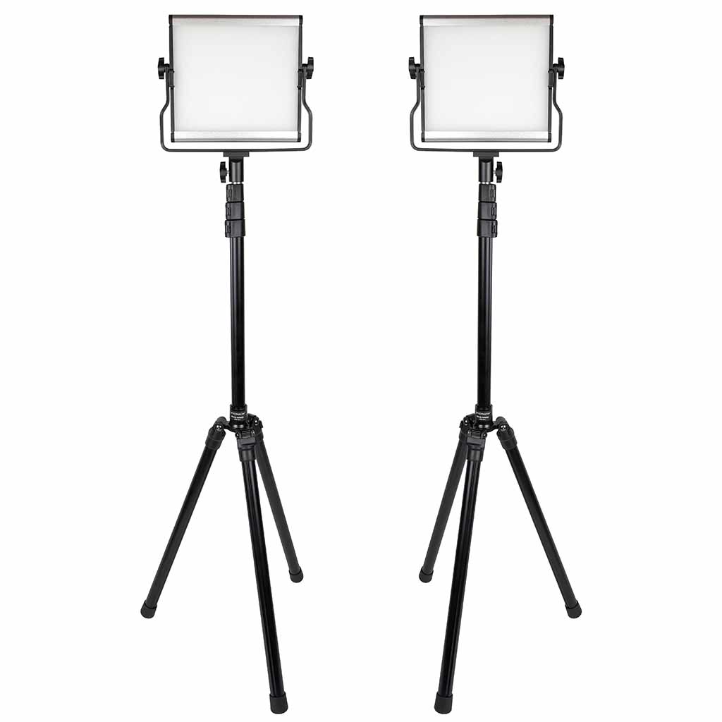 Promaster Basis B88B 2-Light Kit