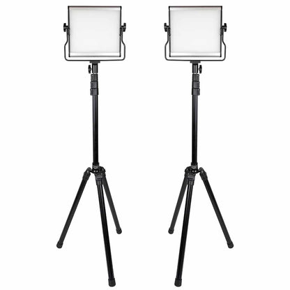 Promaster Basis B88B 2-Light Kit