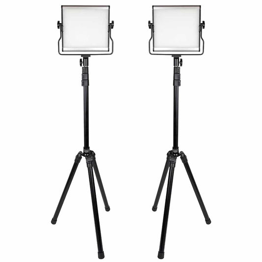Promaster Basis B88B 2-Light Kit