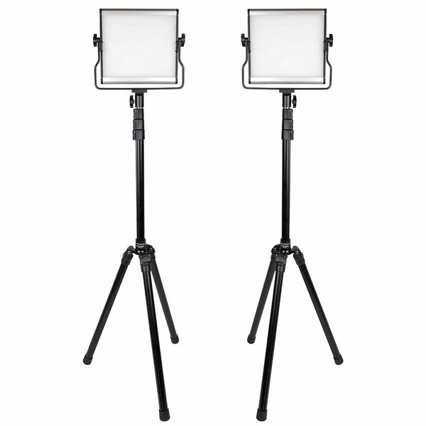 Promaster Basis B88B 2-Light Kit