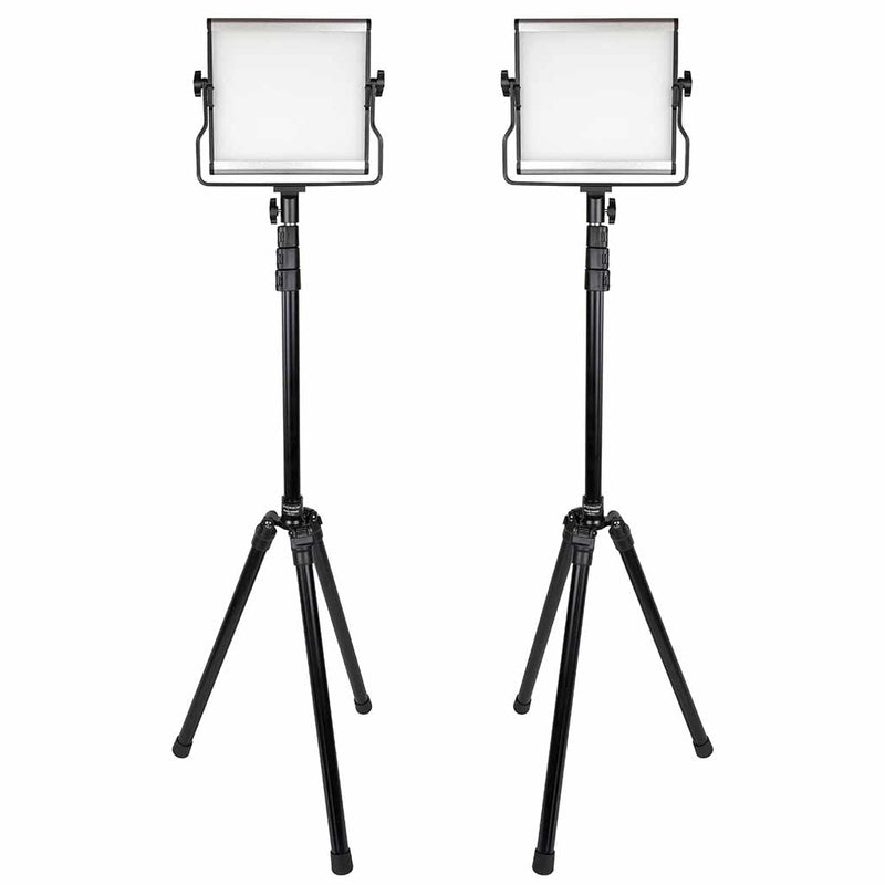 Promaster Basis B88B 2-Light Kit