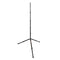 Promaster LS-CT Travel Light Stand