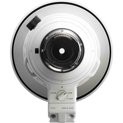 Sigma 300-600mm f/4 DG OS Sports Lens Sony E