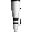 Sigma 300-600mm f/4 DG OS Sports Lens Sony E