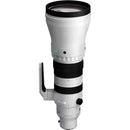 Sigma 300-600mm f/4 DG OS Sports Lens Sony E