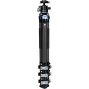 Sirui L324F Carbon Fiber Tripod + KS40 Ball Head
