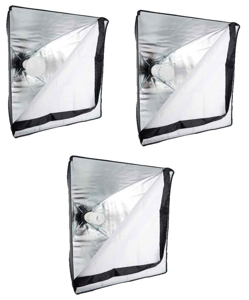 Promaster 2 Light LED Studio Kit