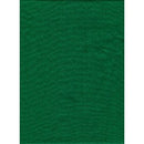 Promaster 10x20 Poly Cotton Chroma Green Backdrop