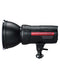 Promaster LED500D MonoLED 2 Light Kit
